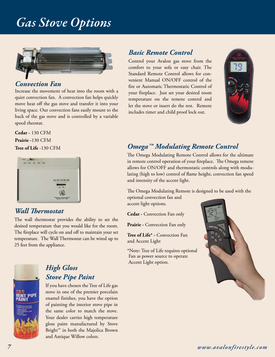 Gas stove options, Basic remote control, Wall thermostat | Convection fan, Omega™ modulating remote control, High gloss stove pipe paint | Avalon Stoves Gas Stove & Fireplace User Manual | Page 8 / 24