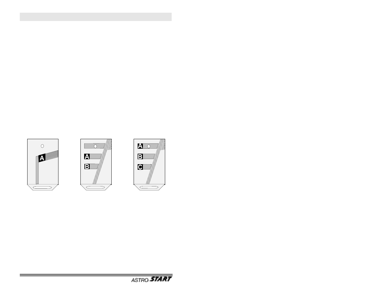 AstroStart RS-113 User Manual | Page 4 / 12