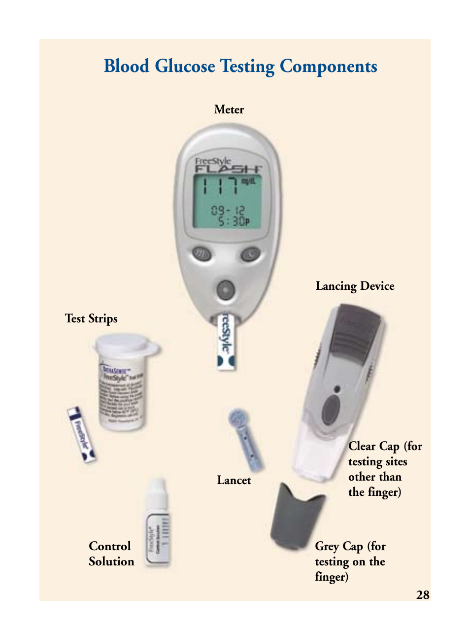 Blood glucose testing components | Abbott Diabetes Care FreeStyle Flash Blood Glucose Monitor User Manual | Page 31 / 69