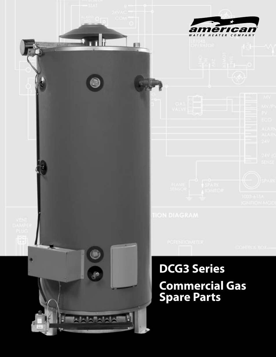 American Water Heater DCG3-Series User Manual | 4 pages
