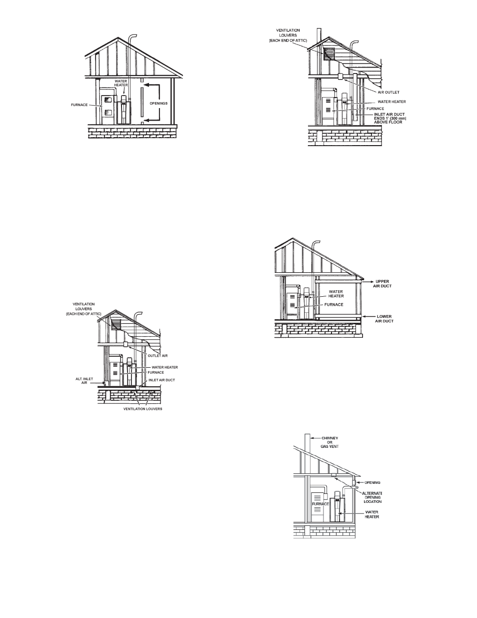 American Water Heater 316888-004 User Manual | Page 17 / 60