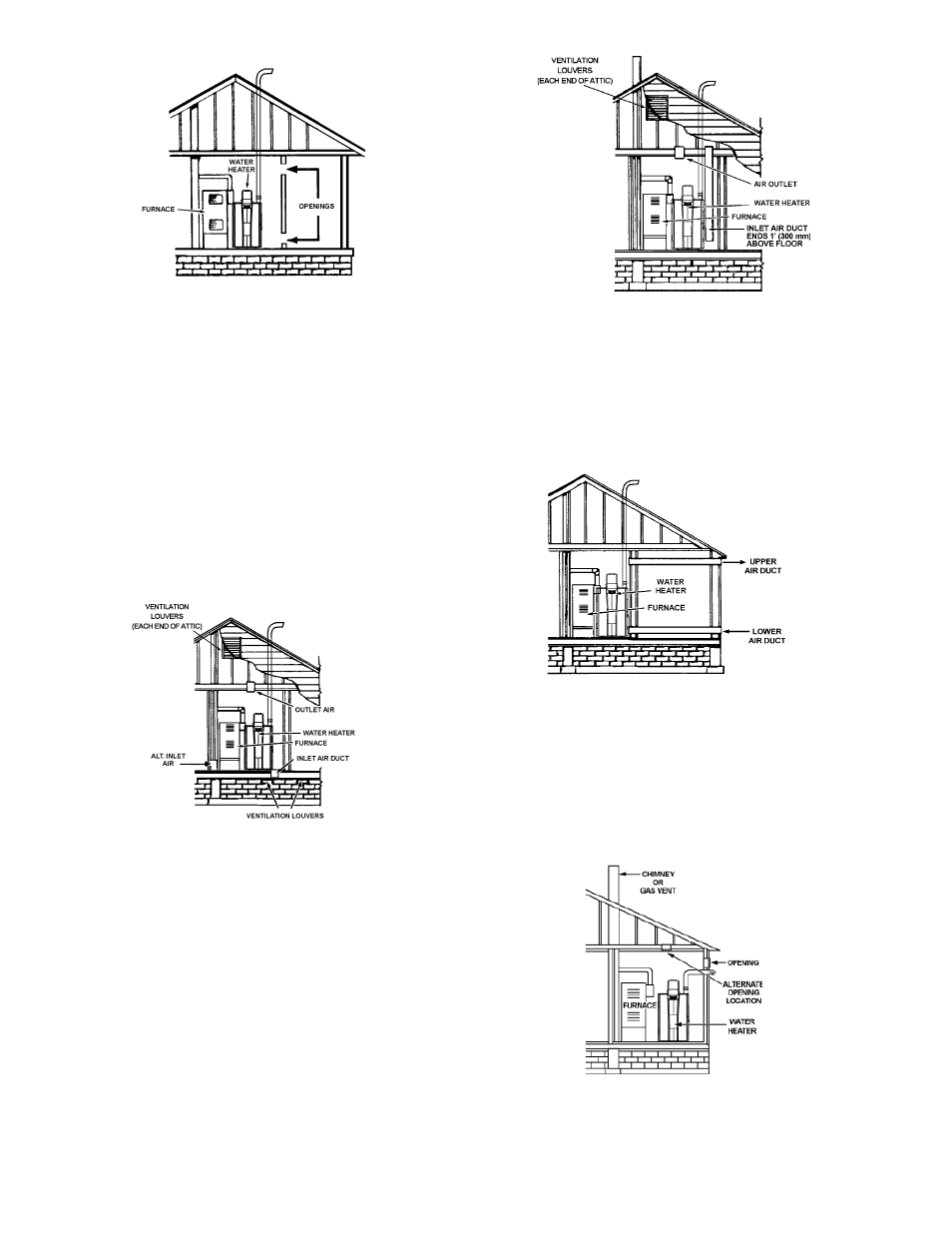 American Water Heater 1010 319869-000 User Manual | Page 17 / 60