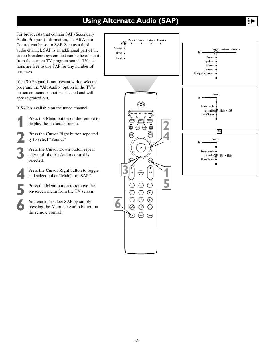 Using alternate audio (sap) | Philips 55PL9774-37B User Manual | Page 43 / 80