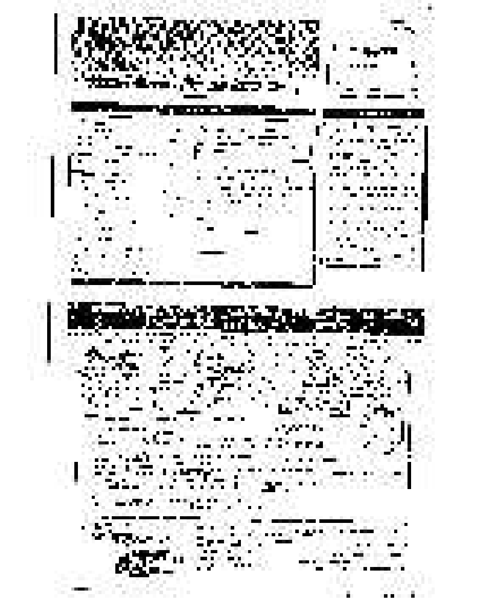 Philips 19SV07B User Manual | Page 2 / 16
