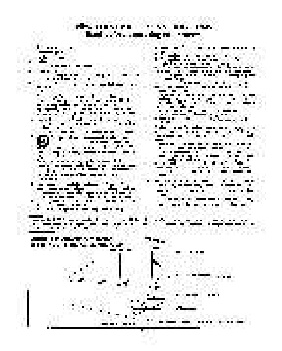 Lêst шй | Philips 30PW862H User Manual | Page 6 / 108