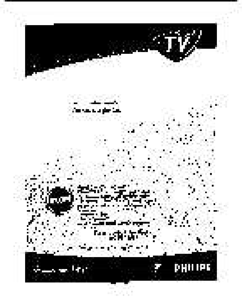 Philips 19PS50S99 User Manual | Page 2 / 50