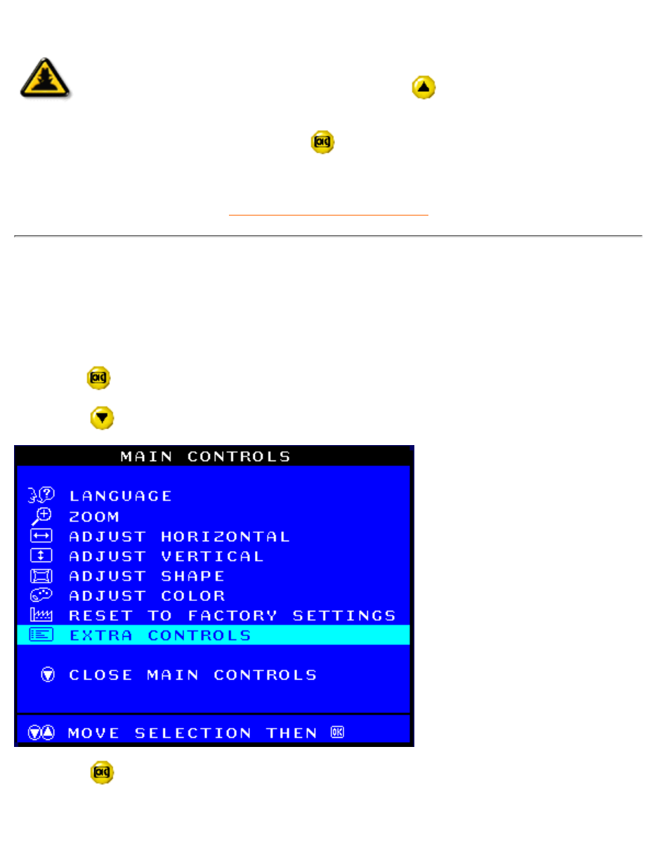 Extra, Controls | Philips 107P40-99 User Manual | Page 93 / 120