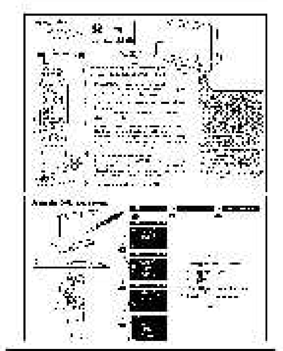 Philips MX6050D-17 User Manual | Page 15 / 53