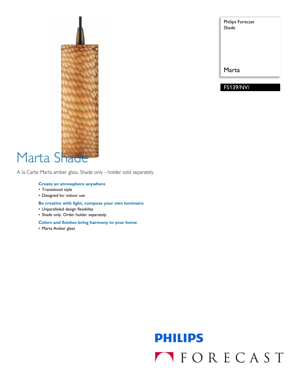 Philips F5139NV User Manual | 2 pages