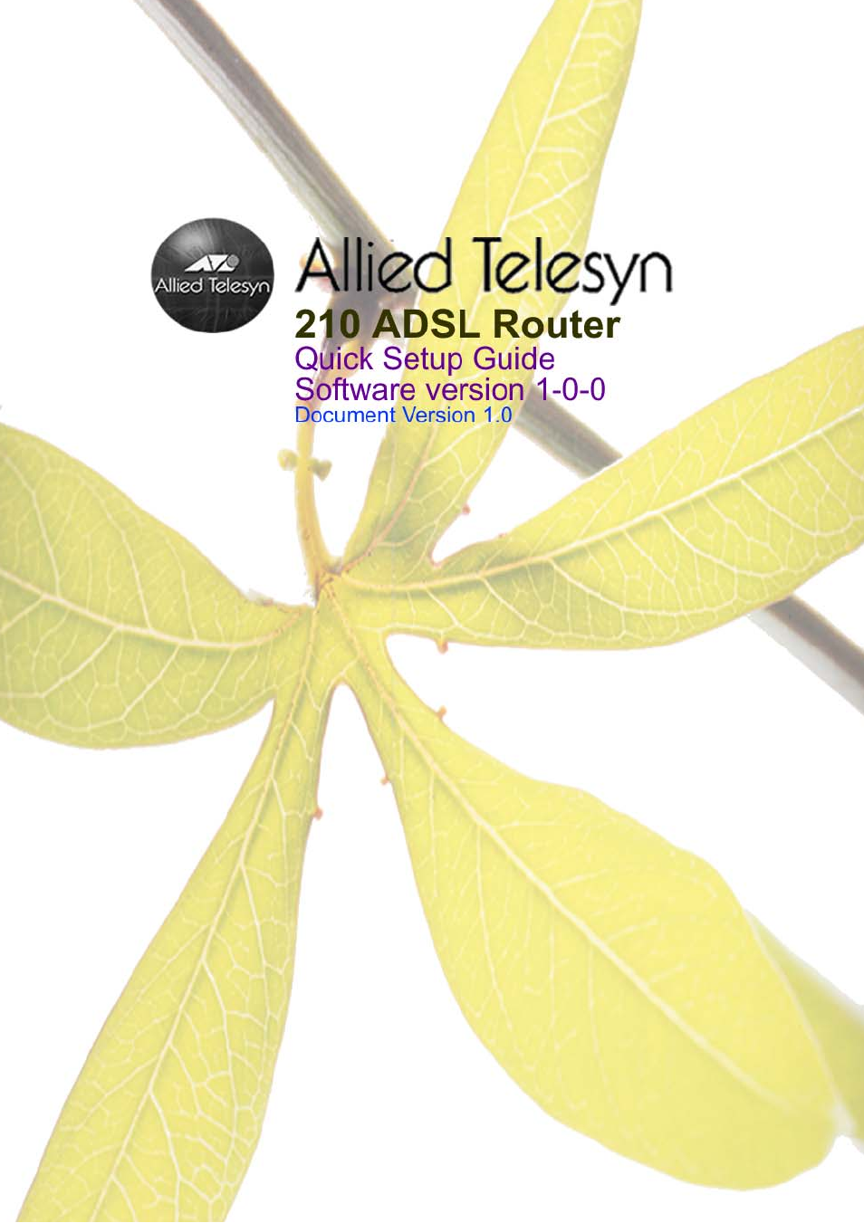 Allied Telesis 210 User Manual | 8 pages