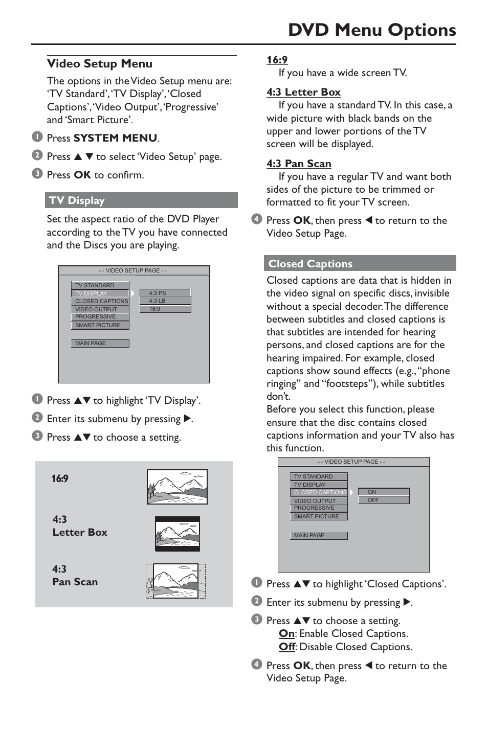 Dvd menu options, Video setup menu | Philips DivX DVD Player User Manual | Page 29 / 40