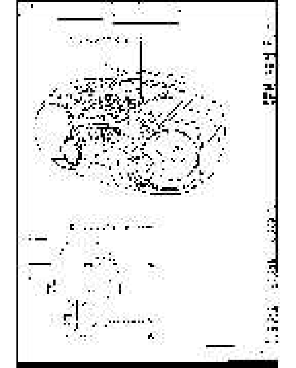 Philips AZ1060 User Manual | Page 6 / 52