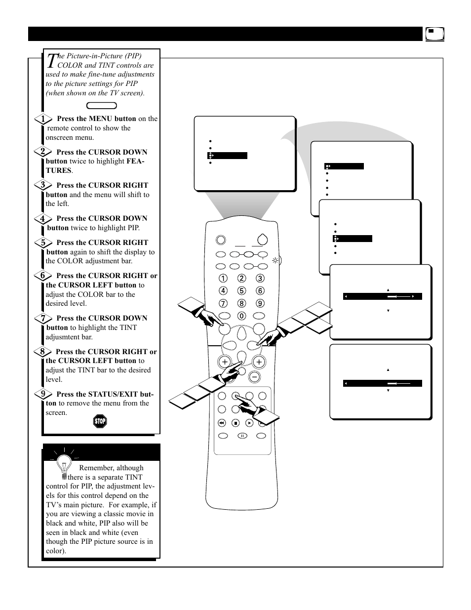 Pip – a, Djusting the, Olor and | Philips 32PT41B User Manual | Page 45 / 52