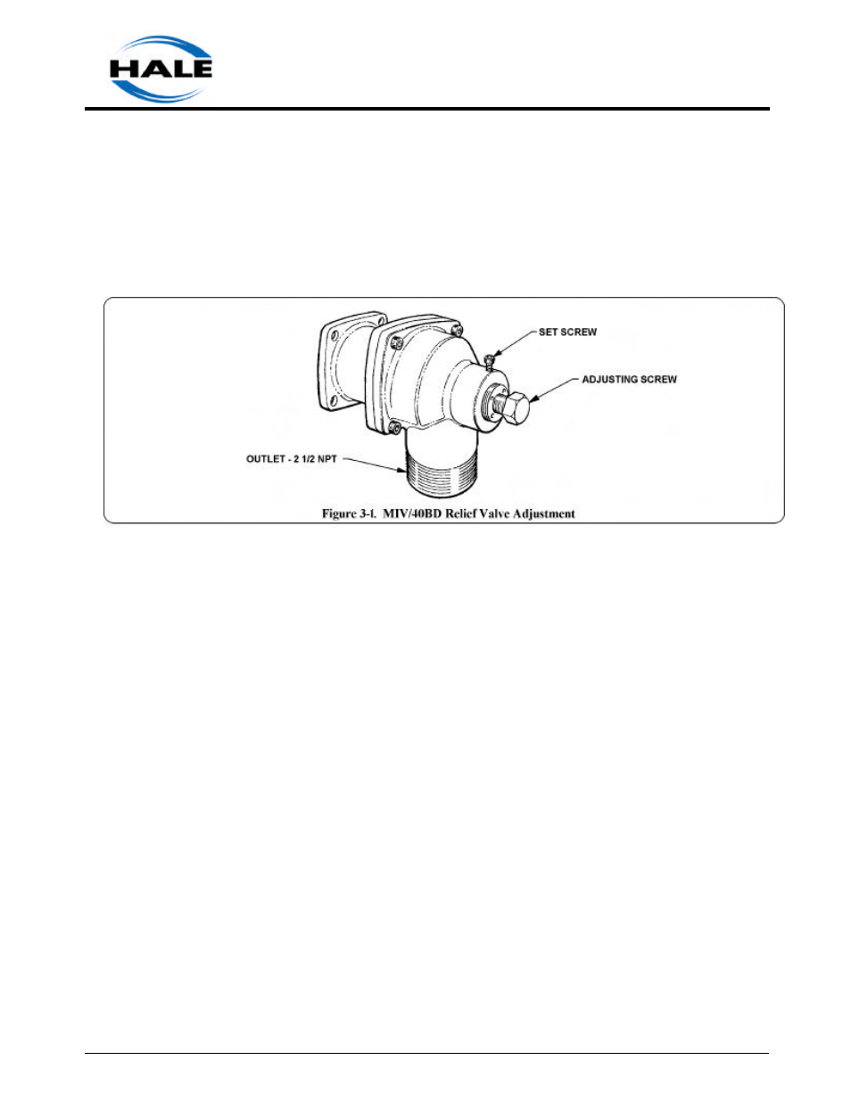 Hale DSD User Manual | Page 39 / 84