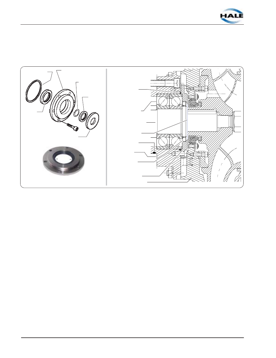 Front oil seal | Hale SMR User Manual | Page 104 / 136