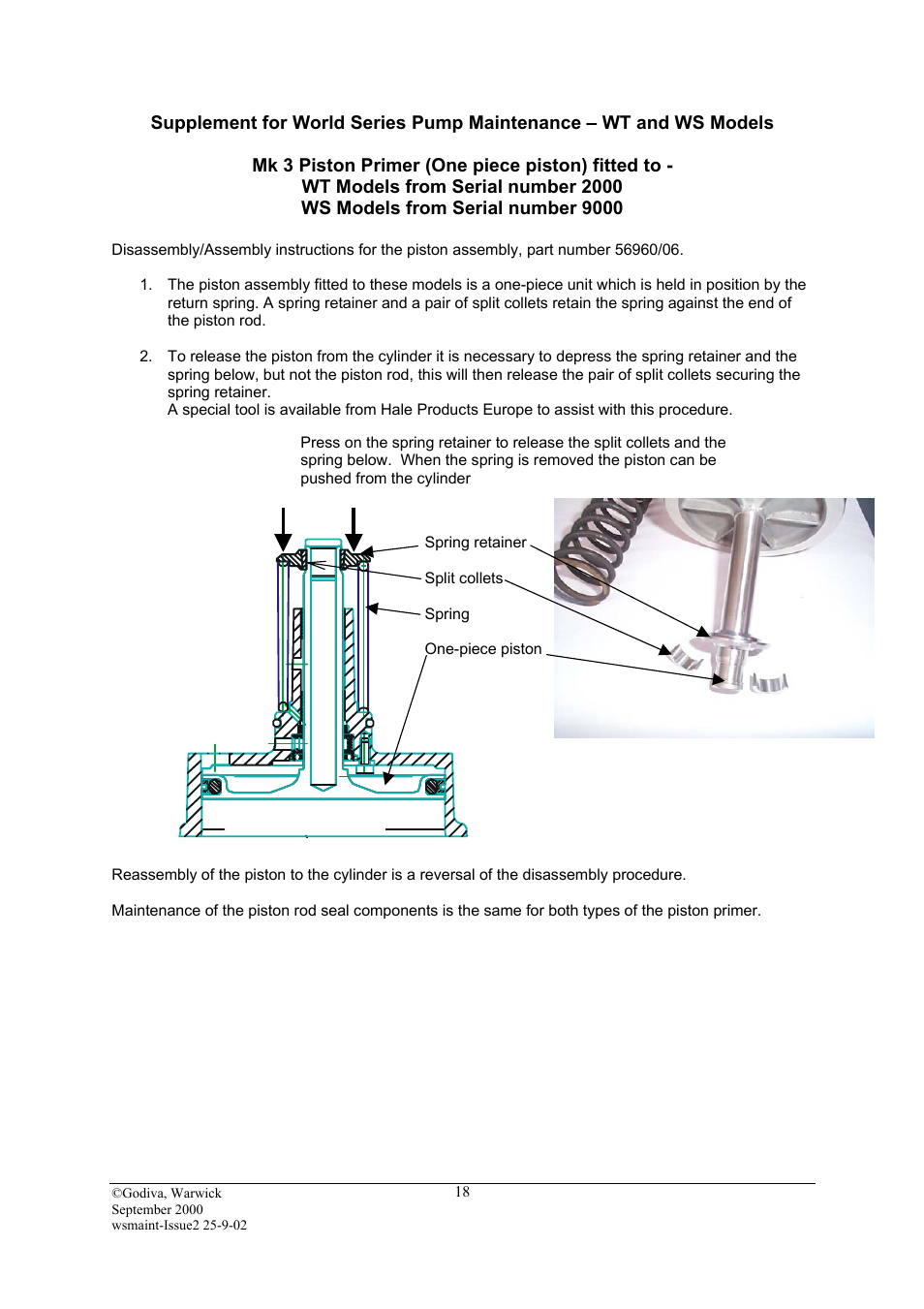 Supplement for world series pump maintenance – wt | Hale SMR User Manual | Page 18 / 32