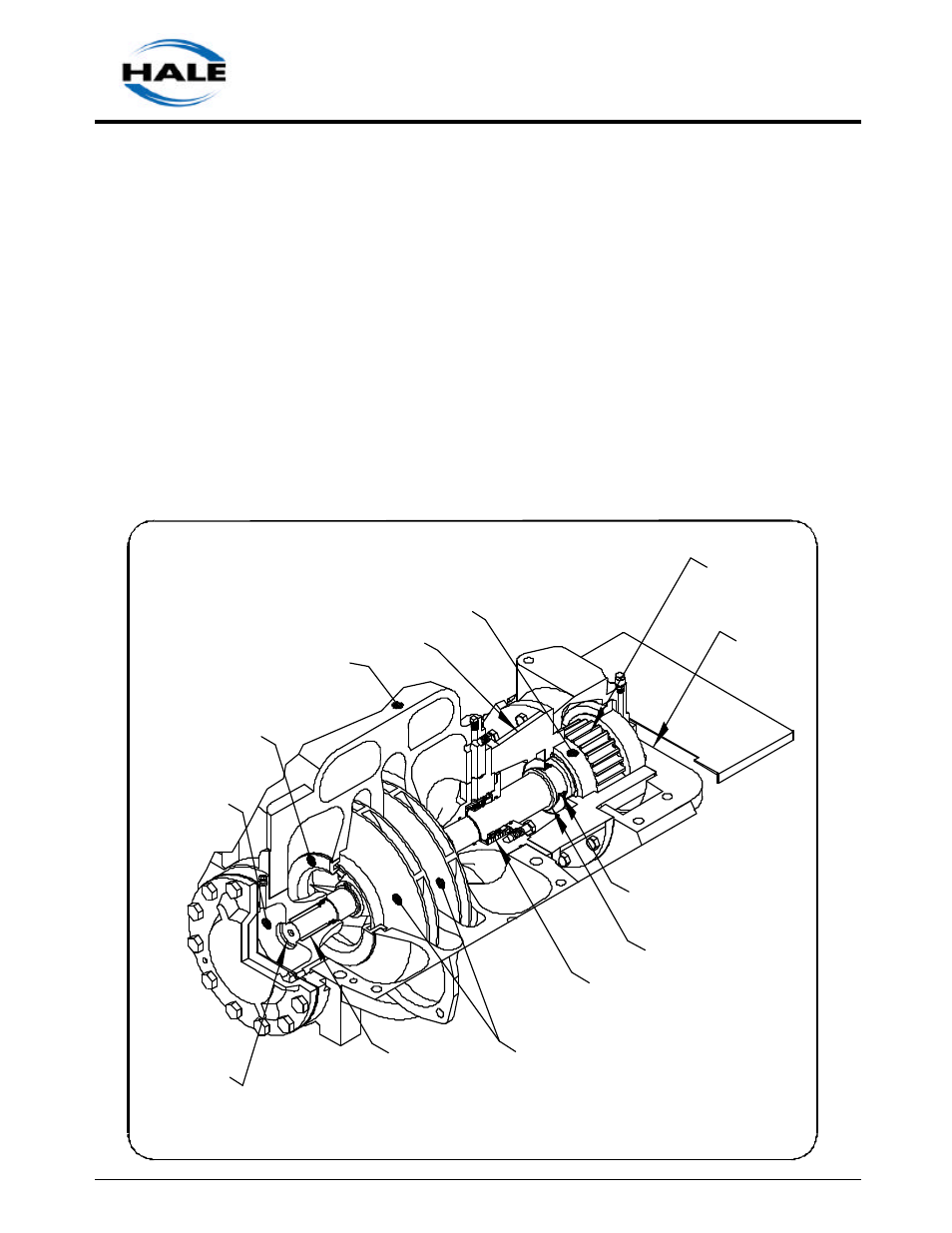 C. parts of pump | Hale MG User Manual | Page 15 / 162