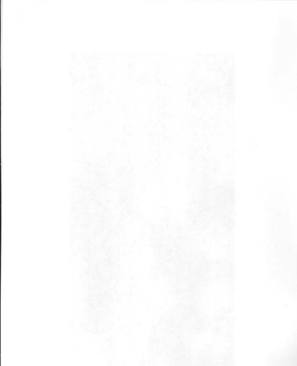 Hale MG User Manual | Page 152 / 162