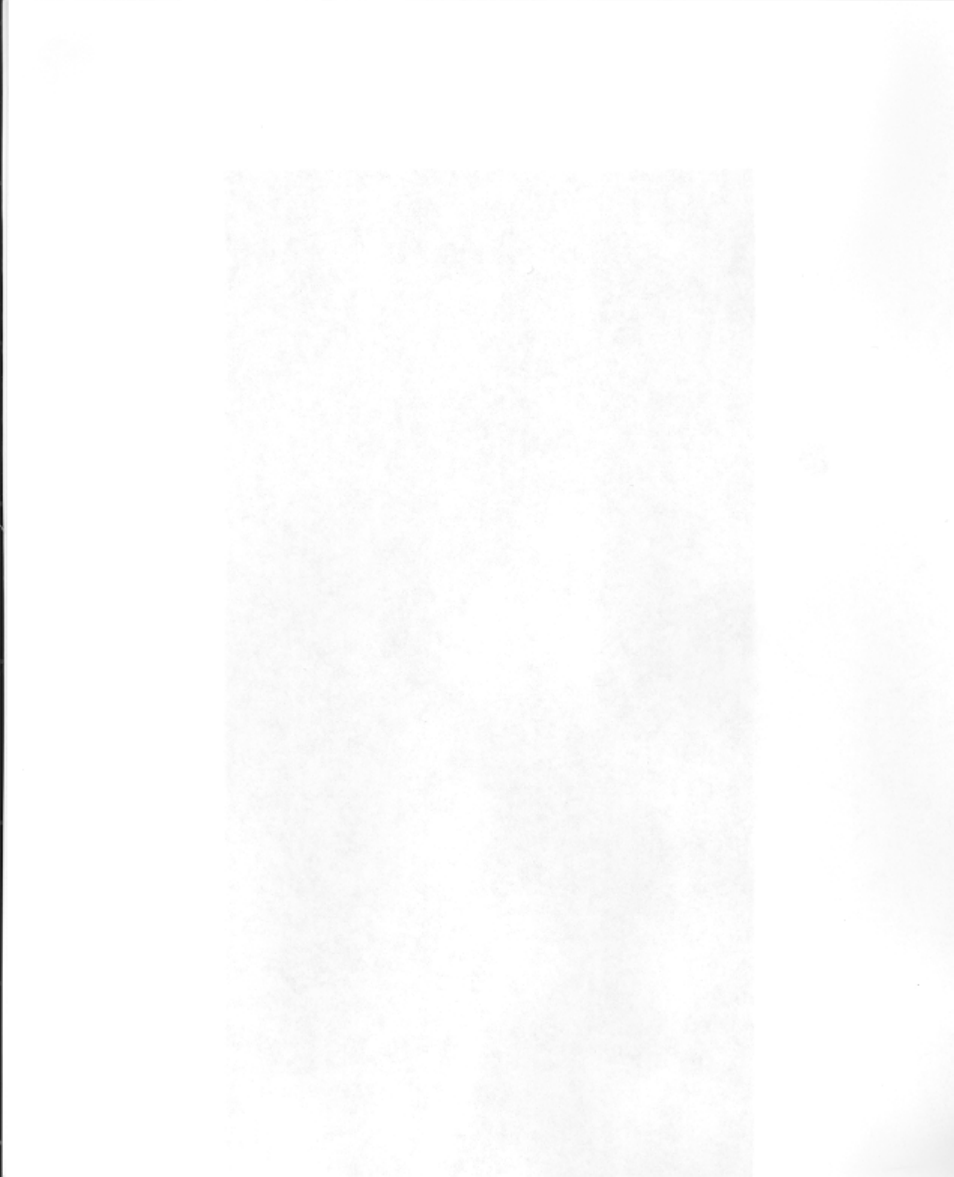 Hale CSD User Manual | Page 34 / 34