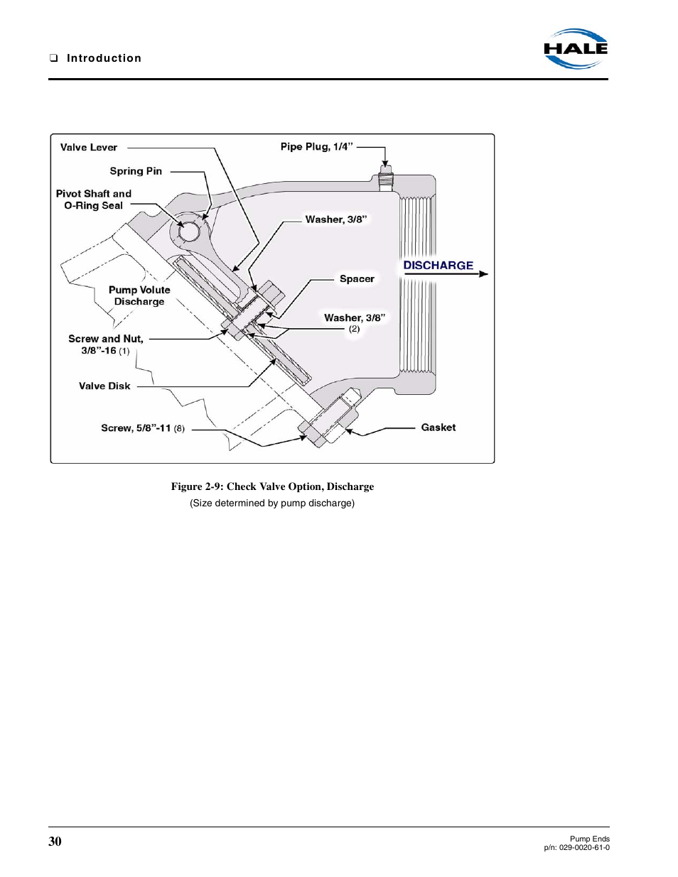 Figure 2-9: check valve option, discharge | Hale 80FC User Manual | Page 30 / 190