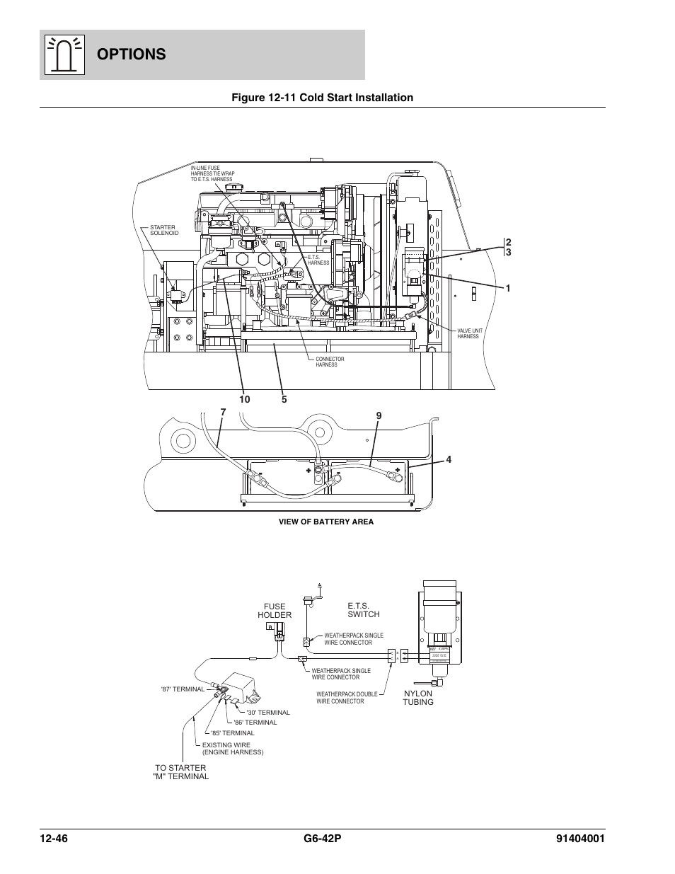 Figure 12-11 cold start installation, Cold start installation -46, Options | JLG G6-42P Parts Manual User Manual | Page 442 / 556