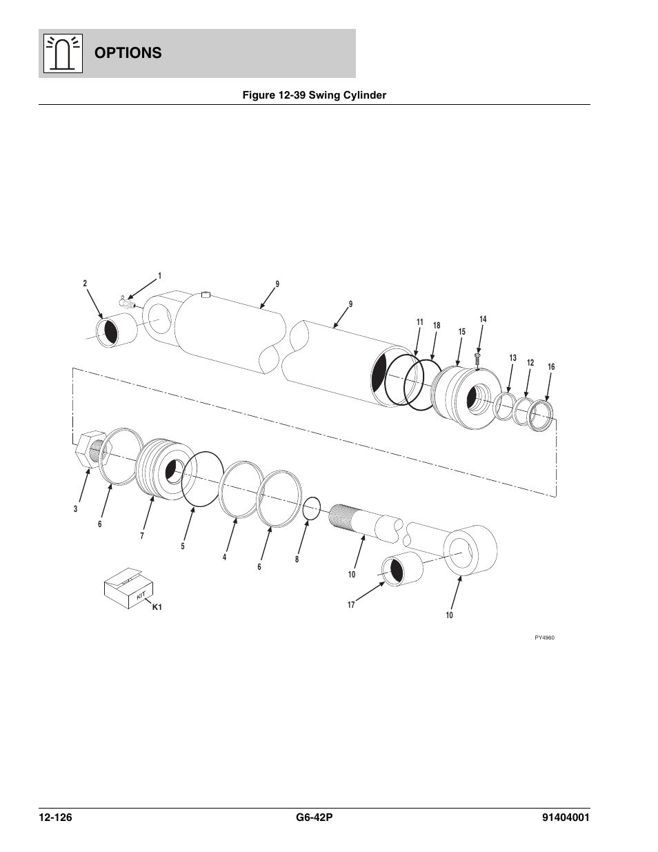 Figure 12-39 swing cylinder, Swing cylinder -126, Options | JLG G6-42P Parts Manual User Manual | Page 522 / 556