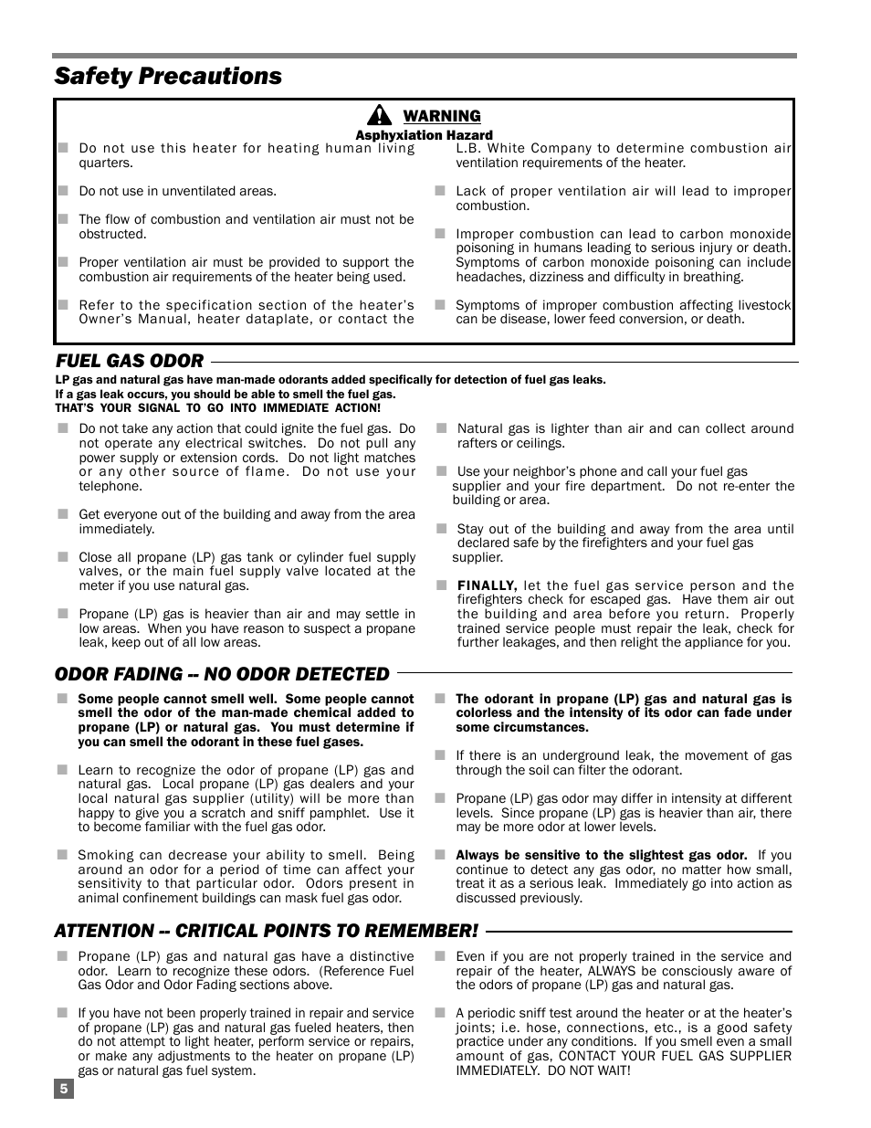 Safety precautions | L.B. White AD250(Spark Ignition) User Manual | Page 6 / 30