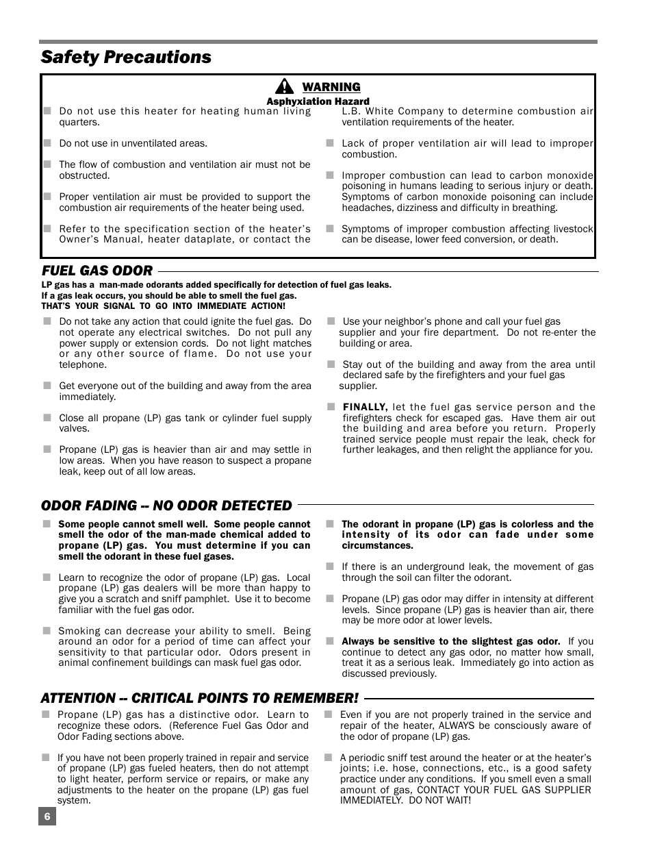 Safety precautions | L.B. White Guardian with Smart Sense - Hot Surface (60K / 100K) User Manual | Page 6 / 31