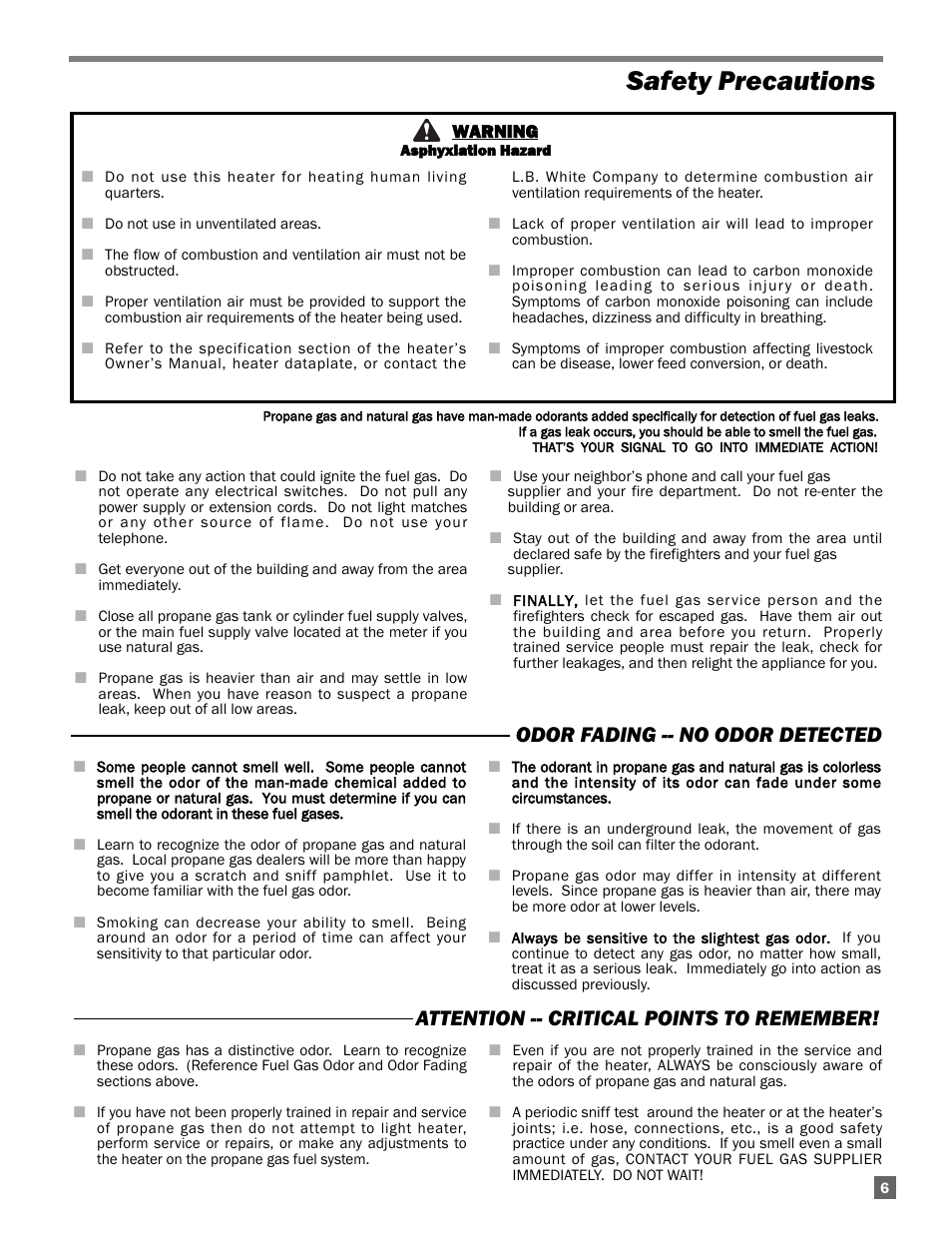 Safety precautions | L.B. White Guardian with Smart Sense - Spark Ignition (60K / 100K) User Manual | Page 7 / 31