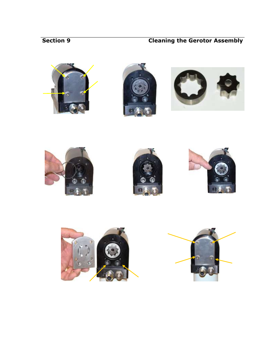 Cleaning debris from the gerotor assembly | PureFlow AirDog DF-100 W/O In-Tank Fuel Pump - Dodge Cummins 1998.5-2004 User Manual | Page 20 / 24
