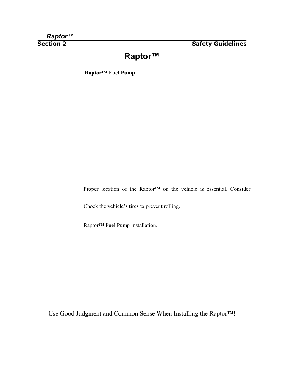 Raptor, Safety guidelines | PureFlow AirDog RP-150 - GM Duramax 2001-2010 User Manual | Page 6 / 17