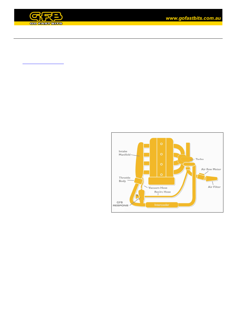 GFB Respons TMS Valve (part T9020) User Manual | Page 2 / 4