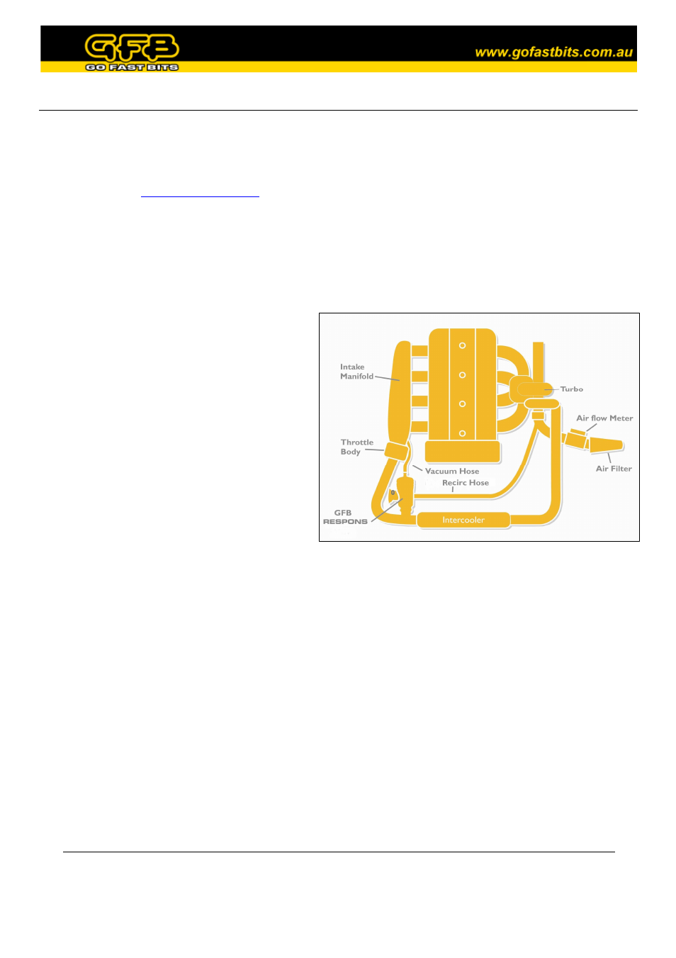 Adaptors available | GFB Respons TMS Valve (part T9035) User Manual | Page 2 / 4