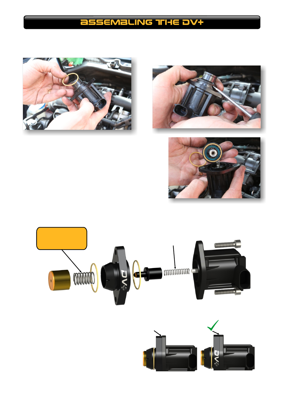 GFB DV+ (part T9355) User Manual | Page 3 / 4