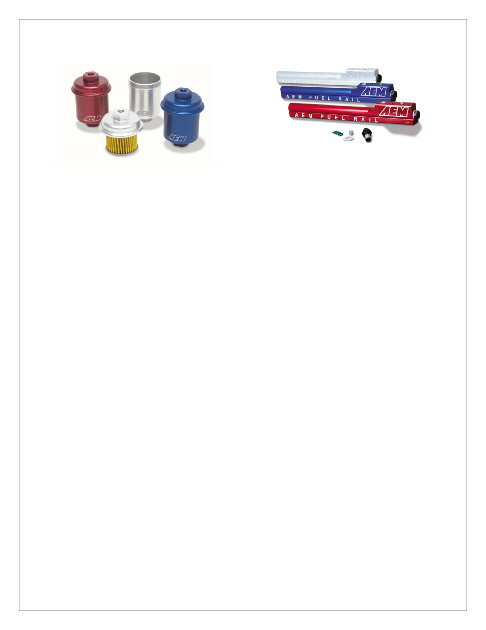 Fuel pressure regulator and pulse dampener | AEM 30-6905 Universal Programmable EMS-4 User Manual | Page 139 / 279