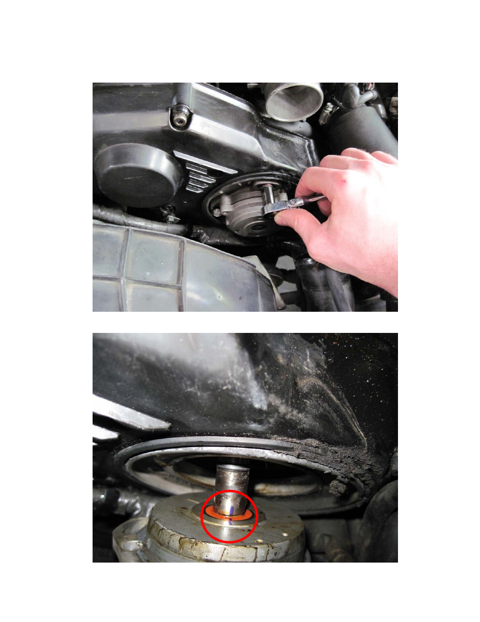 AEM 30-8761 CAS Trigger Disc User Manual | Page 8 / 25