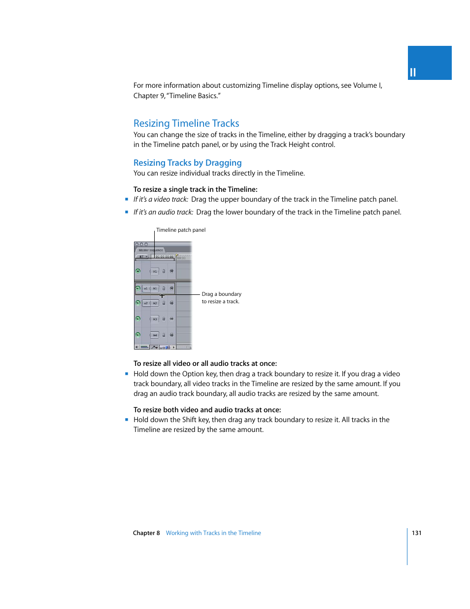 Resizing timeline tracks, Resizing tracks by dragging | Apple Final Cut Pro 6 User Manual | Page 464 / 2033