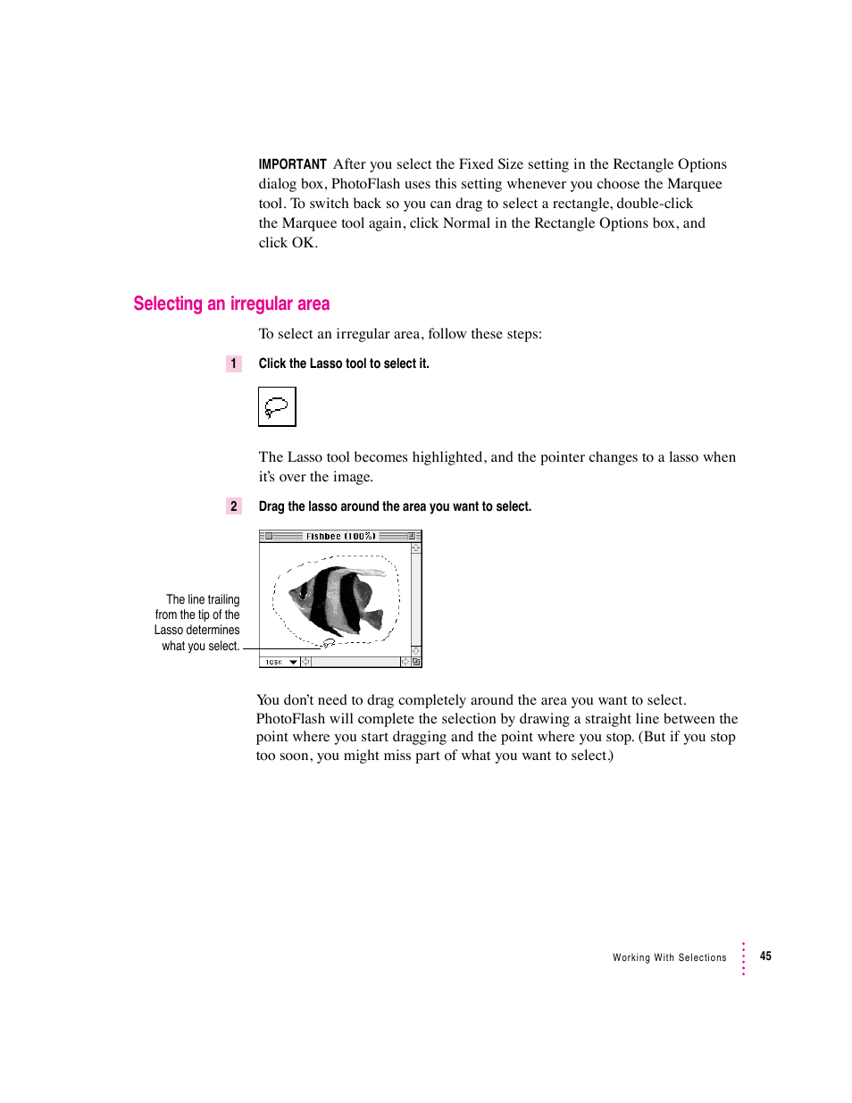 Selecting an irregular area | Apple Macintosh PhotoFlash User Manual | Page 55 / 156