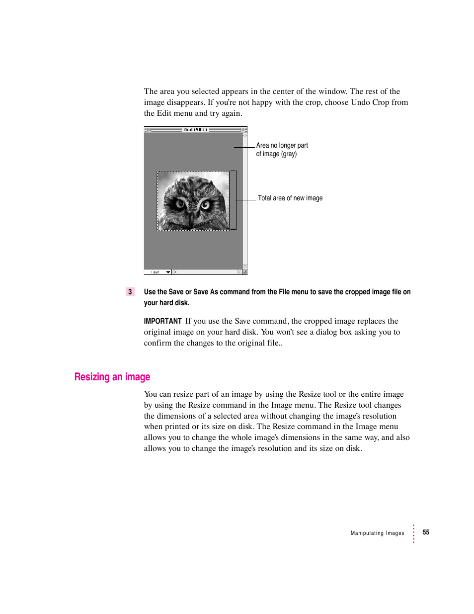 Resizing an image | Apple Macintosh PhotoFlash User Manual | Page 65 / 156