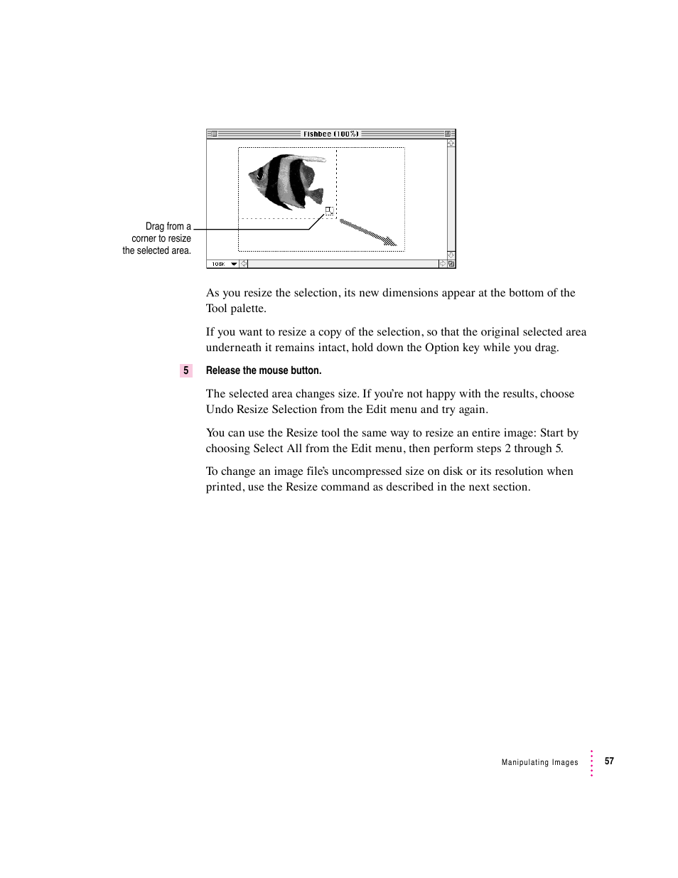 Apple Macintosh PhotoFlash User Manual | Page 67 / 156