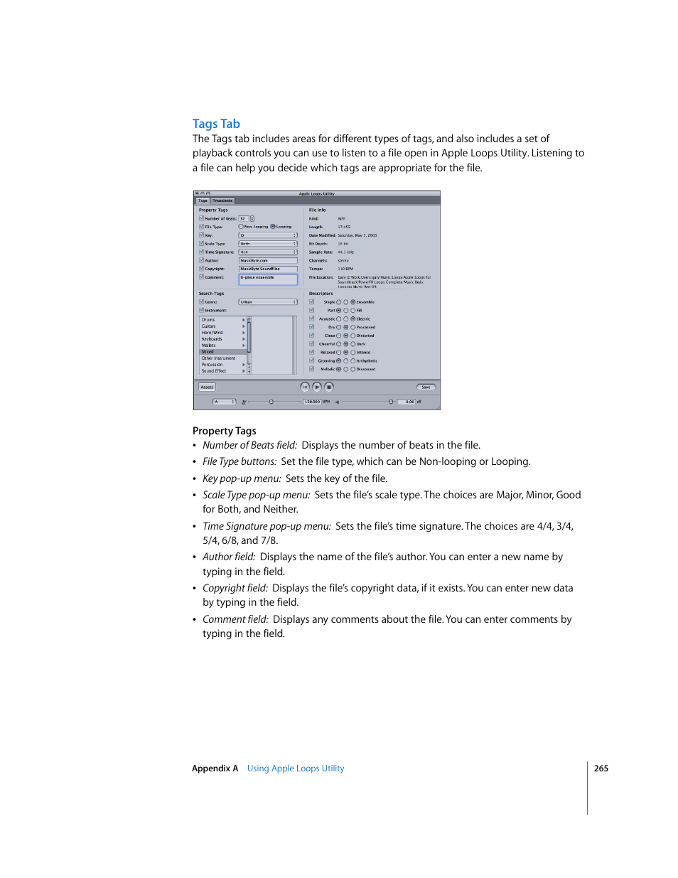 Tags tab | Apple Soundtrack Pro User Manual | Page 265 / 311