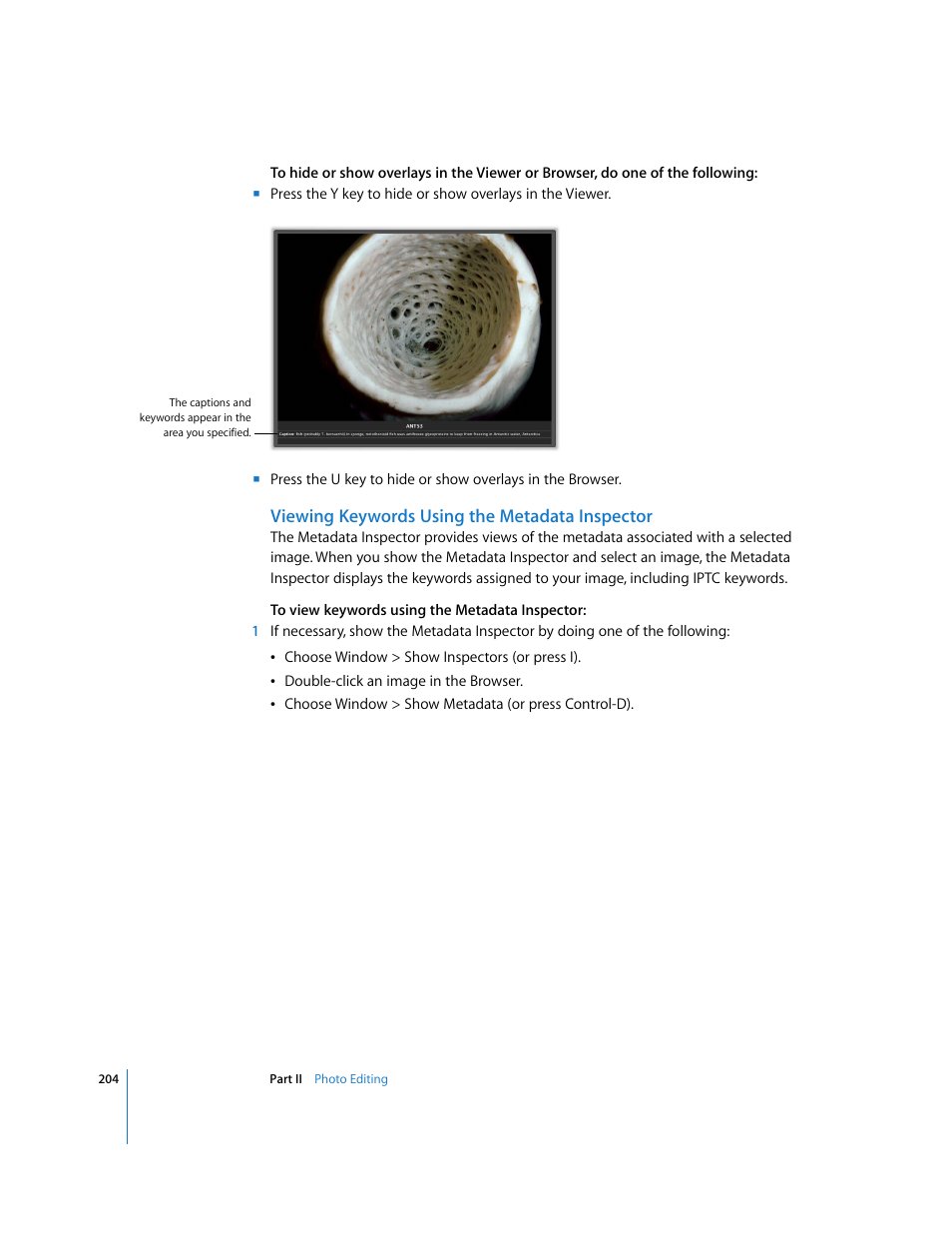 Viewing keywords using the metadata inspector | Apple Aperture User Manual | Page 204 / 476