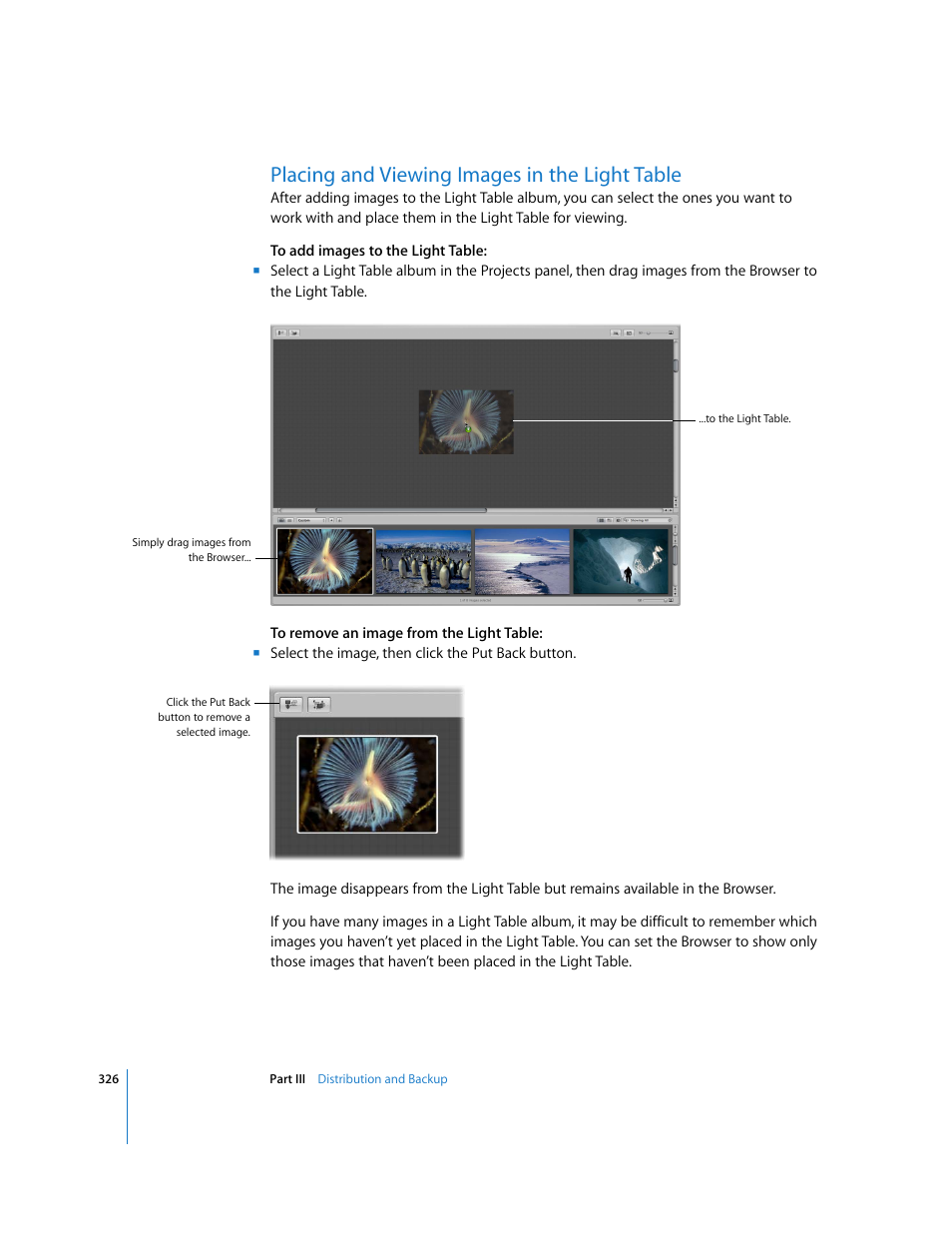 Placing and viewing images in the light table, P. 326) | Apple Aperture User Manual | Page 326 / 476