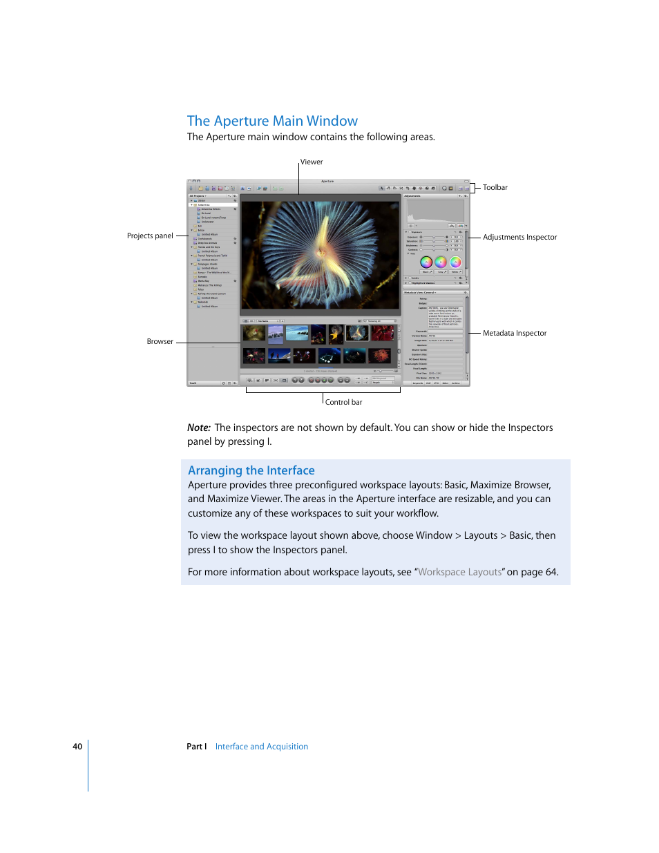 The aperture main window, Arranging the interface, P. 40) | Apple Aperture User Manual | Page 40 / 476