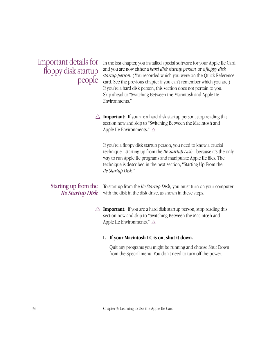 Important details for floppy disk startup people, Starting up from the iie startup disk | Apple IIe Card User Manual | Page 52 / 198