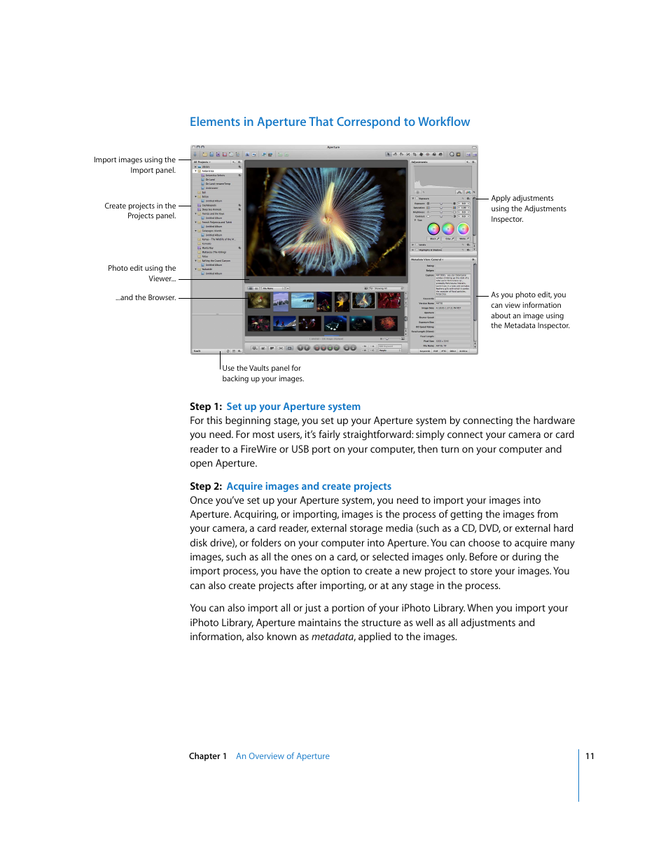 Elements in aperture that correspond to workflow | Apple Aperture Getting Started User Manual | Page 11 / 222