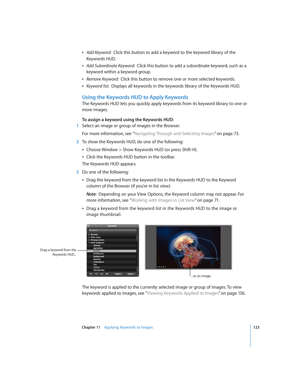 Using the keywords hud to apply keywords | Apple Aperture Getting Started User Manual | Page 123 / 222