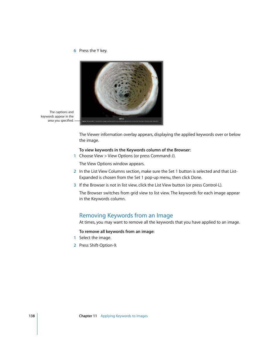 Removing keywords from an image | Apple Aperture Getting Started User Manual | Page 138 / 222