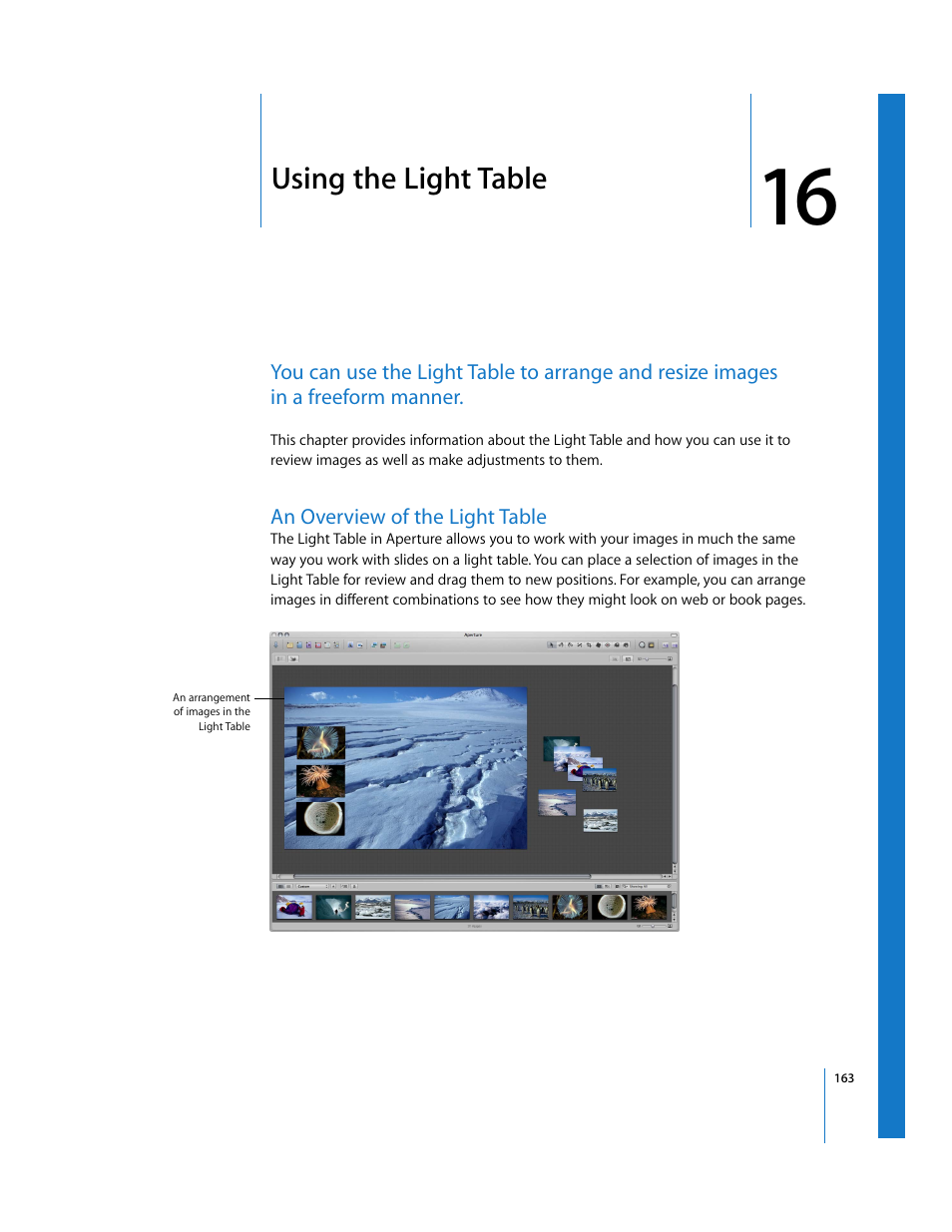 Using the light table, An overview of the light table, Chapter 16 | See chapter 16 | Apple Aperture Getting Started User Manual | Page 163 / 222