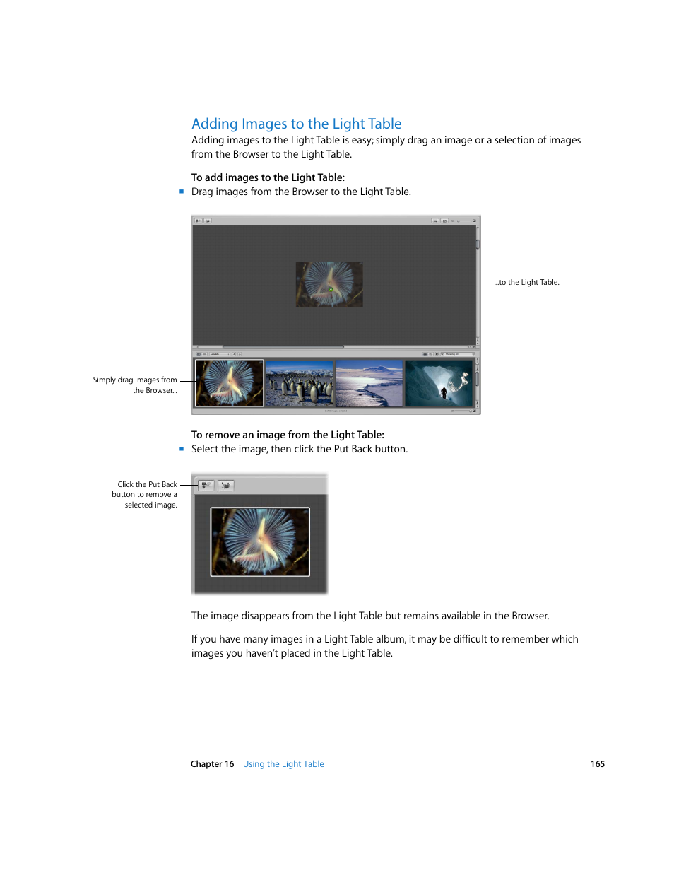 Adding images to the light table | Apple Aperture Getting Started User Manual | Page 165 / 222